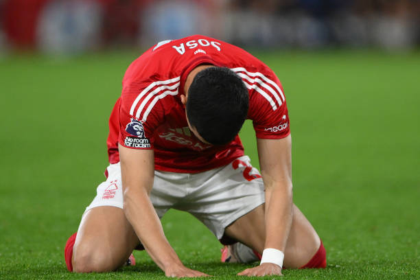 和敏锐的篮 和敏锐的篮